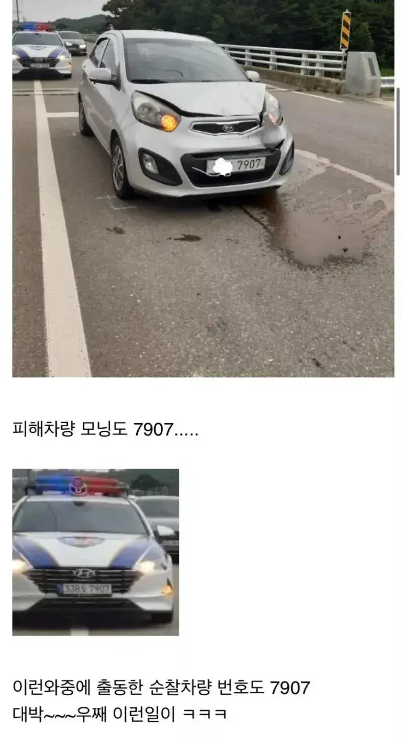 전설의 7907 교통사고의 내용을 보여주는 이미지 관련 이미지 2