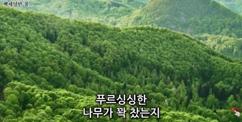 2cnOGmdLg6MEI6Wg42YW6m.jpg