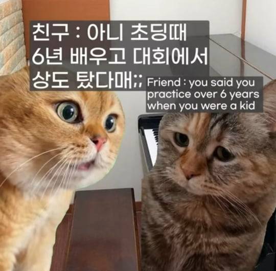 초딩때 피아노 배운 사람들 특징의 내용을 보여주는 이미지 관련 이미지 3