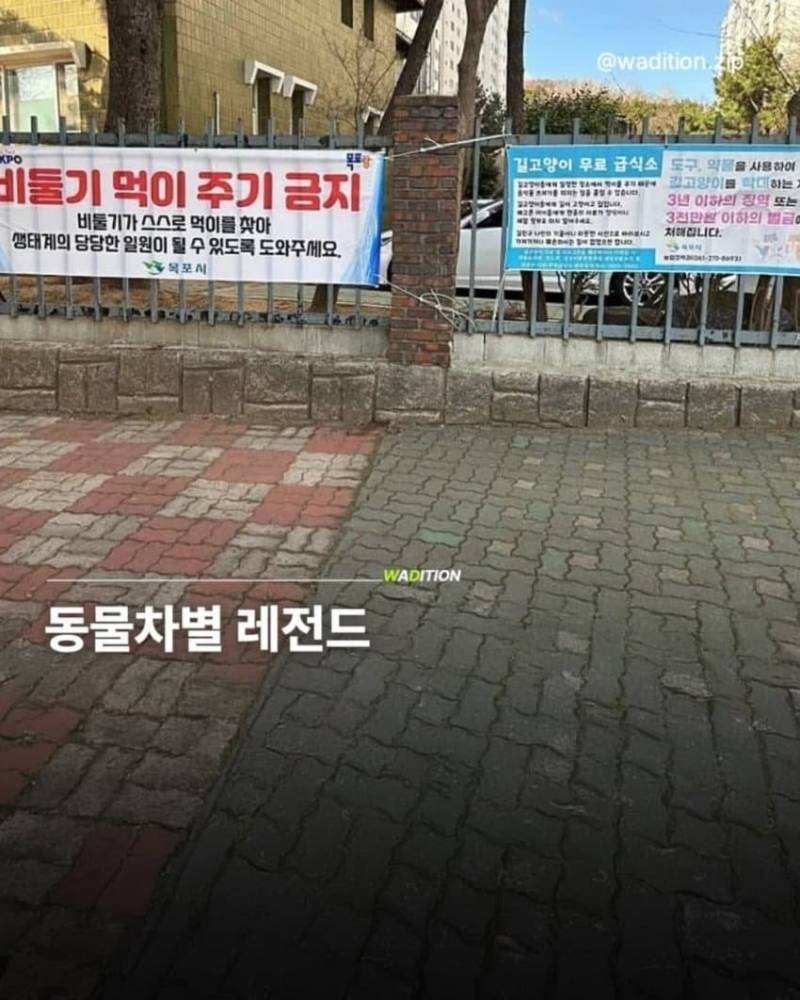 동물 외모지상주의 끝판왕의 내용을 보여주는 이미지