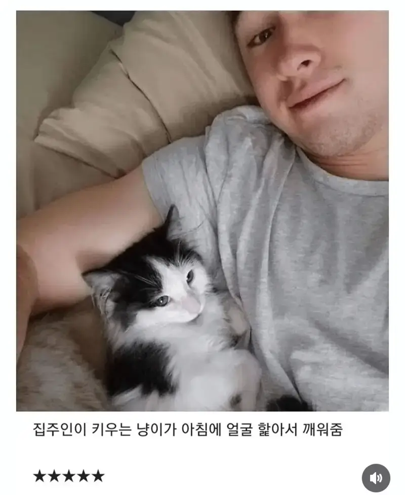 숙소 별점 5점 준 이유의 내용을 보여주는 이미지