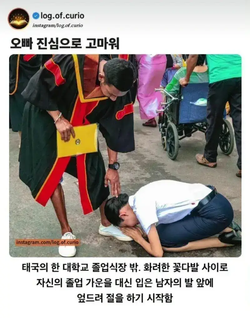대학 졸업식날 오빠에게 절하는 여동생의 내용을 보여주는 이미지
