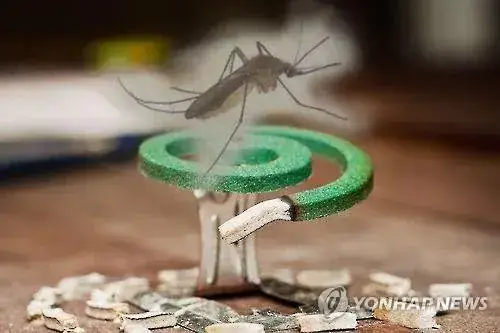 희한하게 올 여름 유독 안 보인다는 말 많은 놈의 내용을 보여주는 이미지