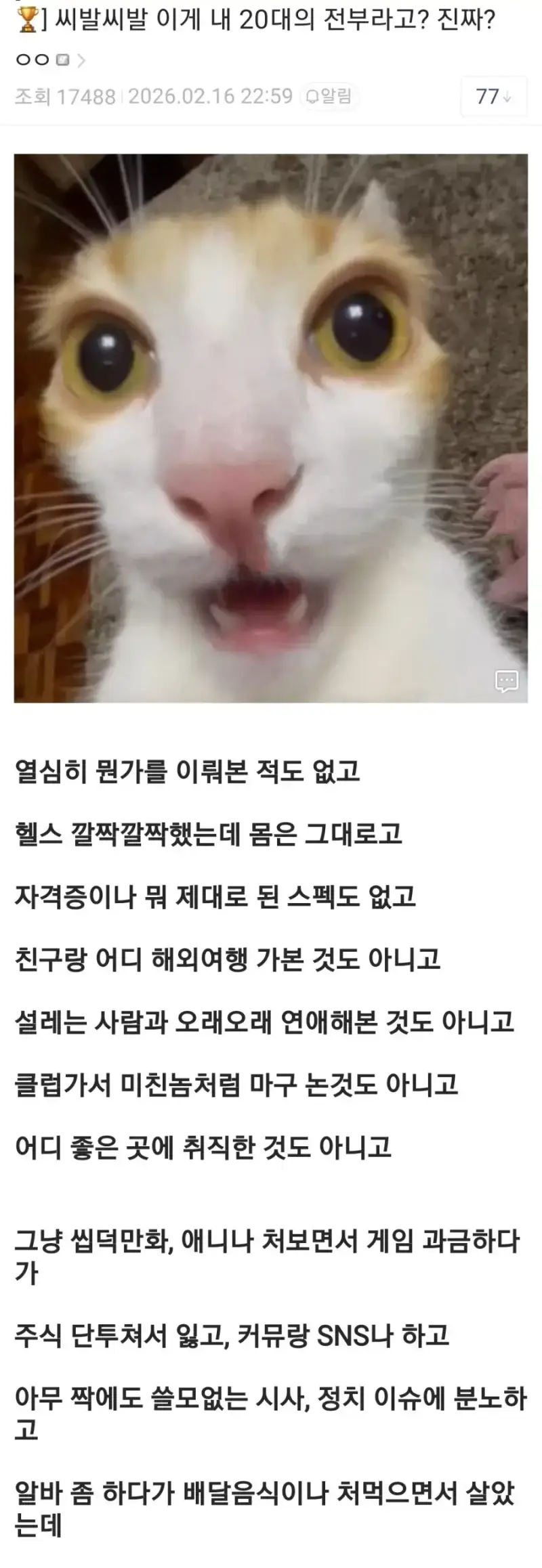 19fd643a99859fad3.webp
