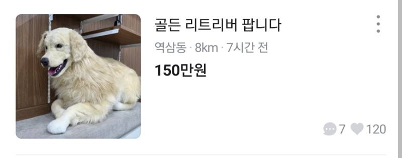 (놀람주의) 당근에 골든 리트리버 팝니다의 내용을 보여주는 이미지