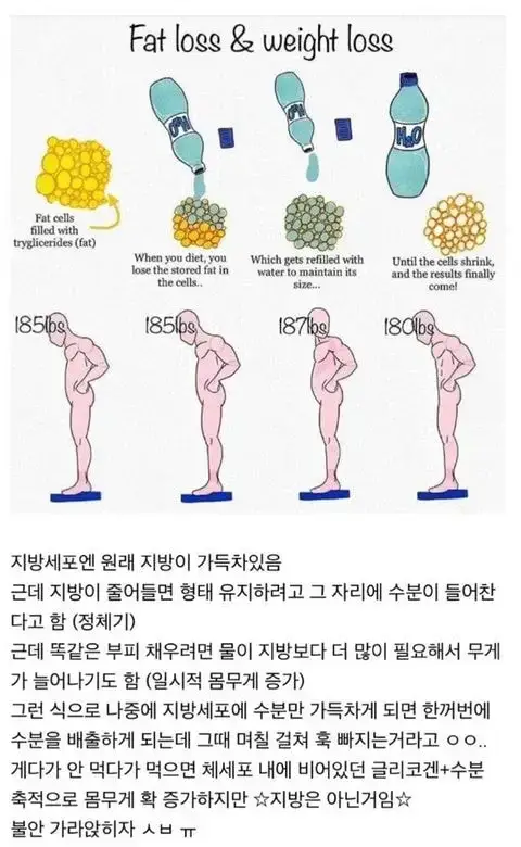 다이어트 하는데 몸무게가 오히려 늘어;;의 내용을 보여주는 이미지