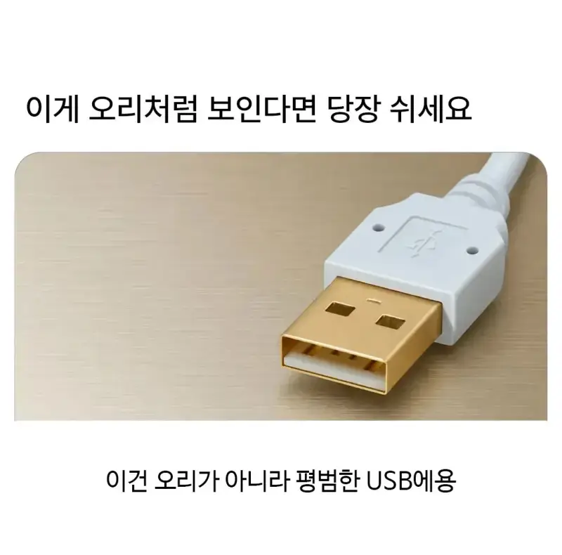 오리가 보이면 바로 쉬세요의 내용을 보여주는 이미지