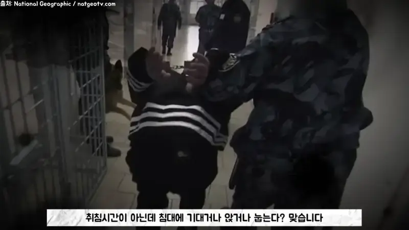 3mpBueRoYgy02qqi8IeKaK.png