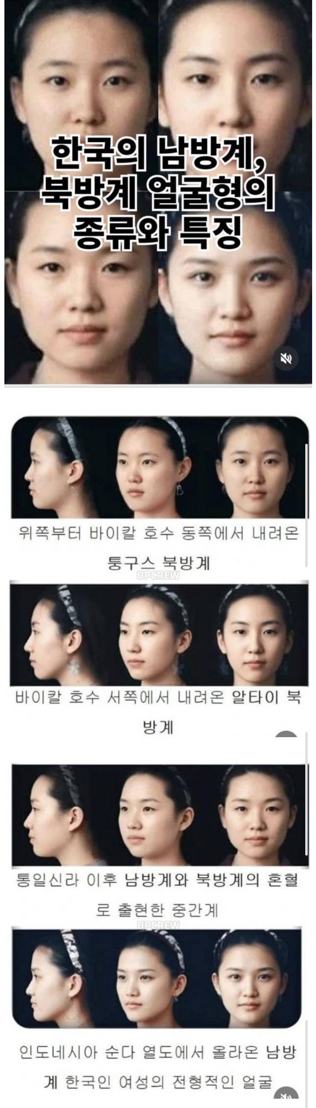 한국인 북방계&bull;남방계 얼굴 특징의 내용을 보여주는 이미지