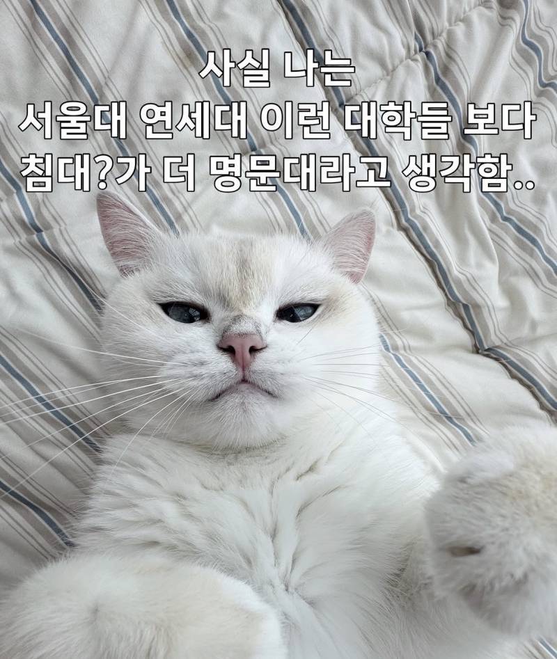 모두가 인정하는 세계최고 명문대의 내용을 보여주는 이미지