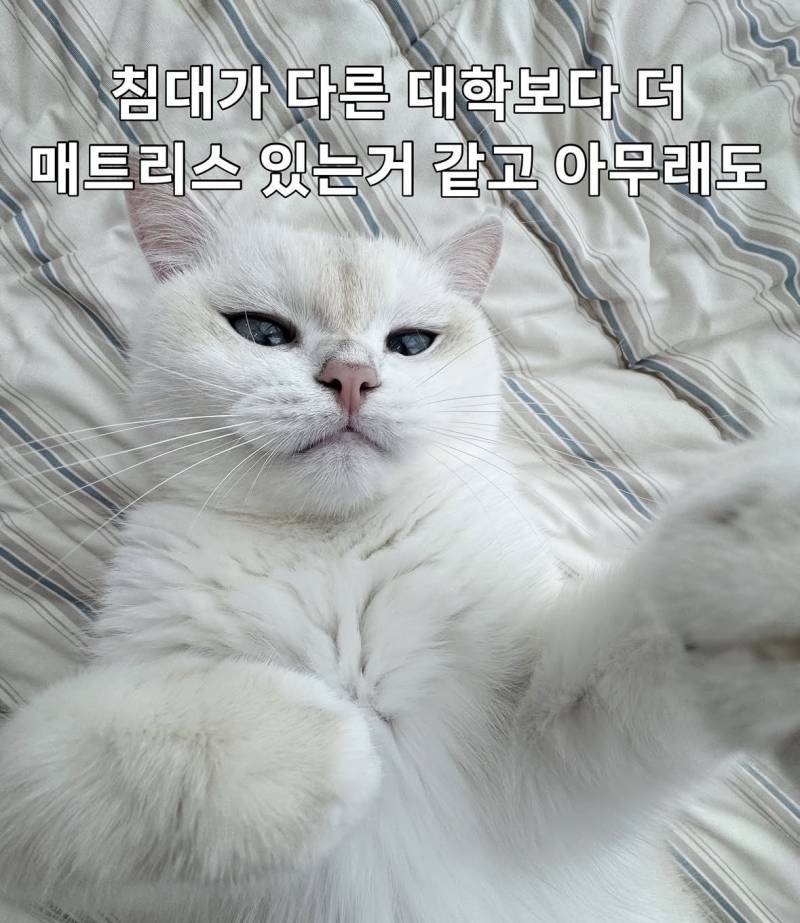 모두가 인정하는 세계최고 명문대의 내용을 보여주는 이미지 관련 이미지 2