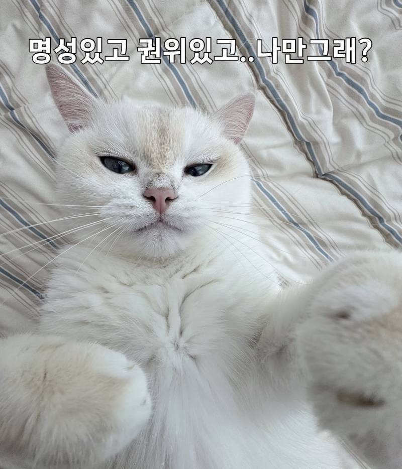 모두가 인정하는 세계최고 명문대의 내용을 보여주는 이미지 관련 이미지 3