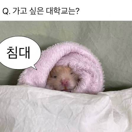 모두가 인정하는 세계최고 명문대의 내용을 보여주는 이미지 관련 이미지 4