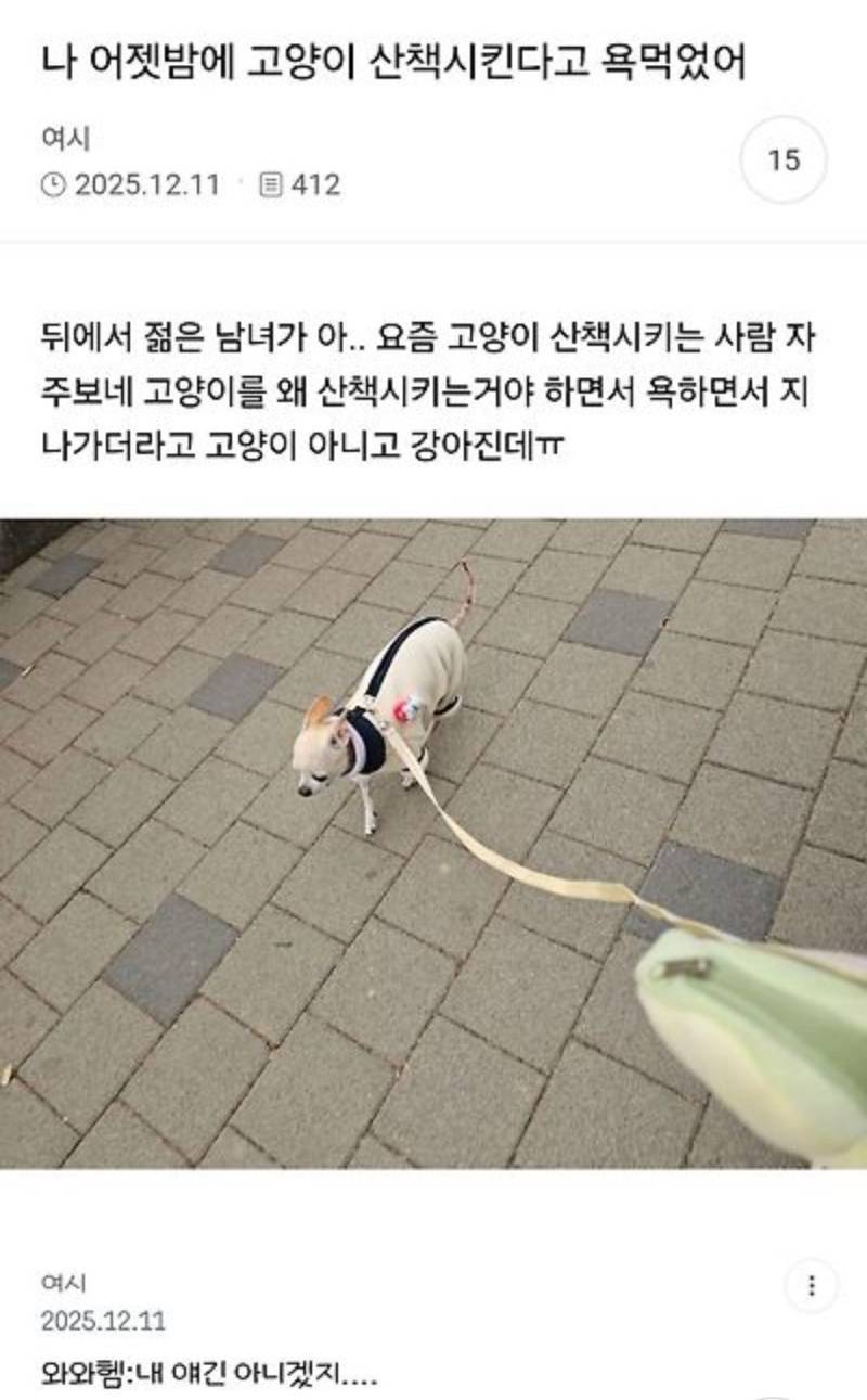나 어젯밤에 고양이 산책 시킨다고 욕 먹었어..의 내용을 보여주는 이미지