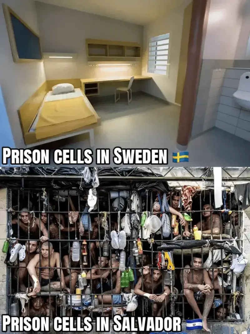 OXtfuF