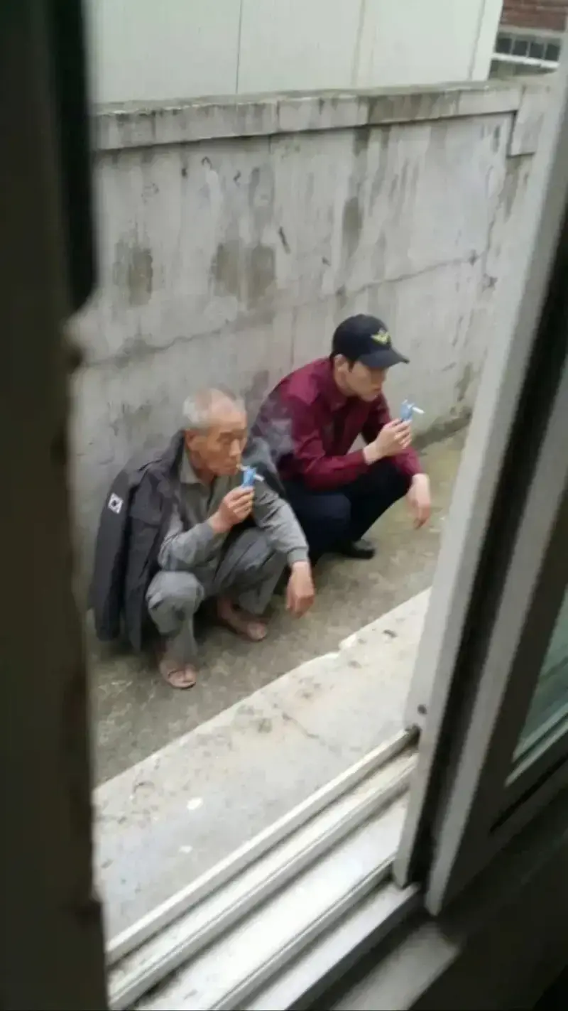 19f918a76a24486c3.webp
