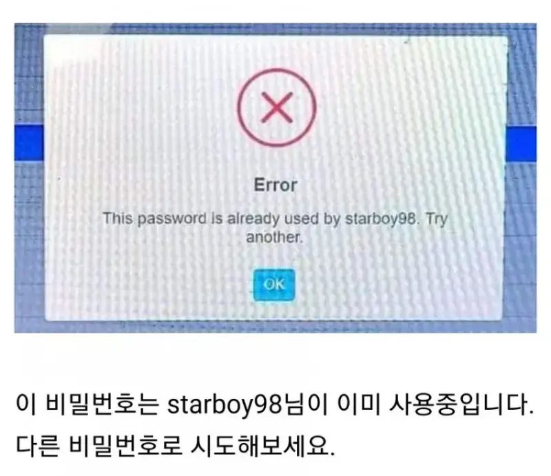 singlebungle1472-20260809-005044-000.jpg