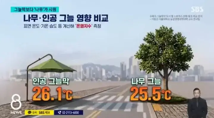 인공 그늘막보다 나무가 시원의 내용을 보여주는 이미지