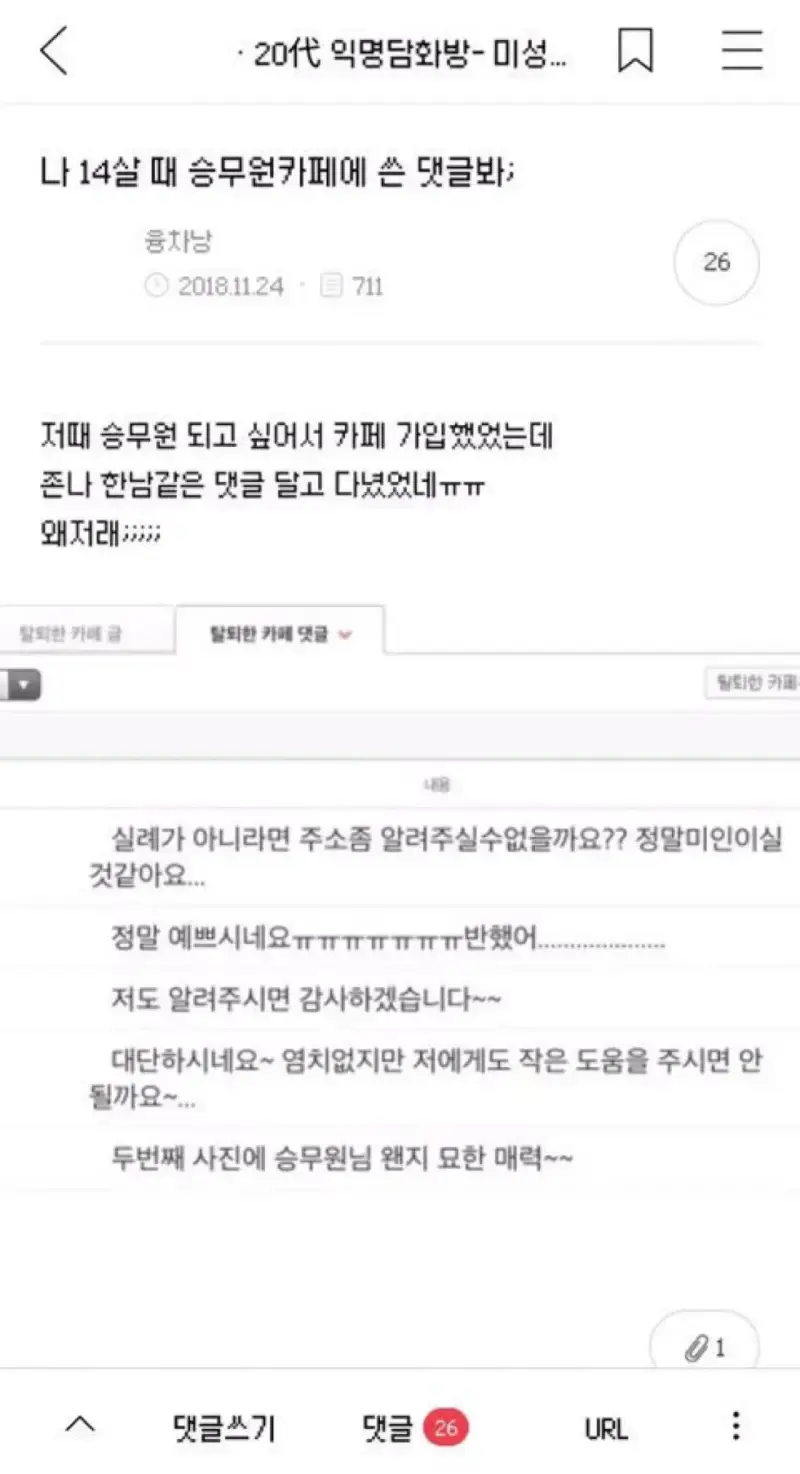 나 14살때 승무원카페에 쓴 댓글봐;의 내용을 보여주는 이미지