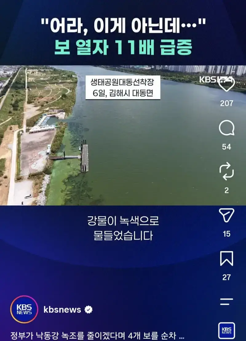 낙동강 보 개방했는데 녹조 11배 증가의 내용을 보여주는 이미지