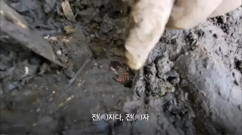 1400년만에 한국에서 발굴된 갑옷의 정체의 내용을 보여주는 이미지 관련 이미지 2