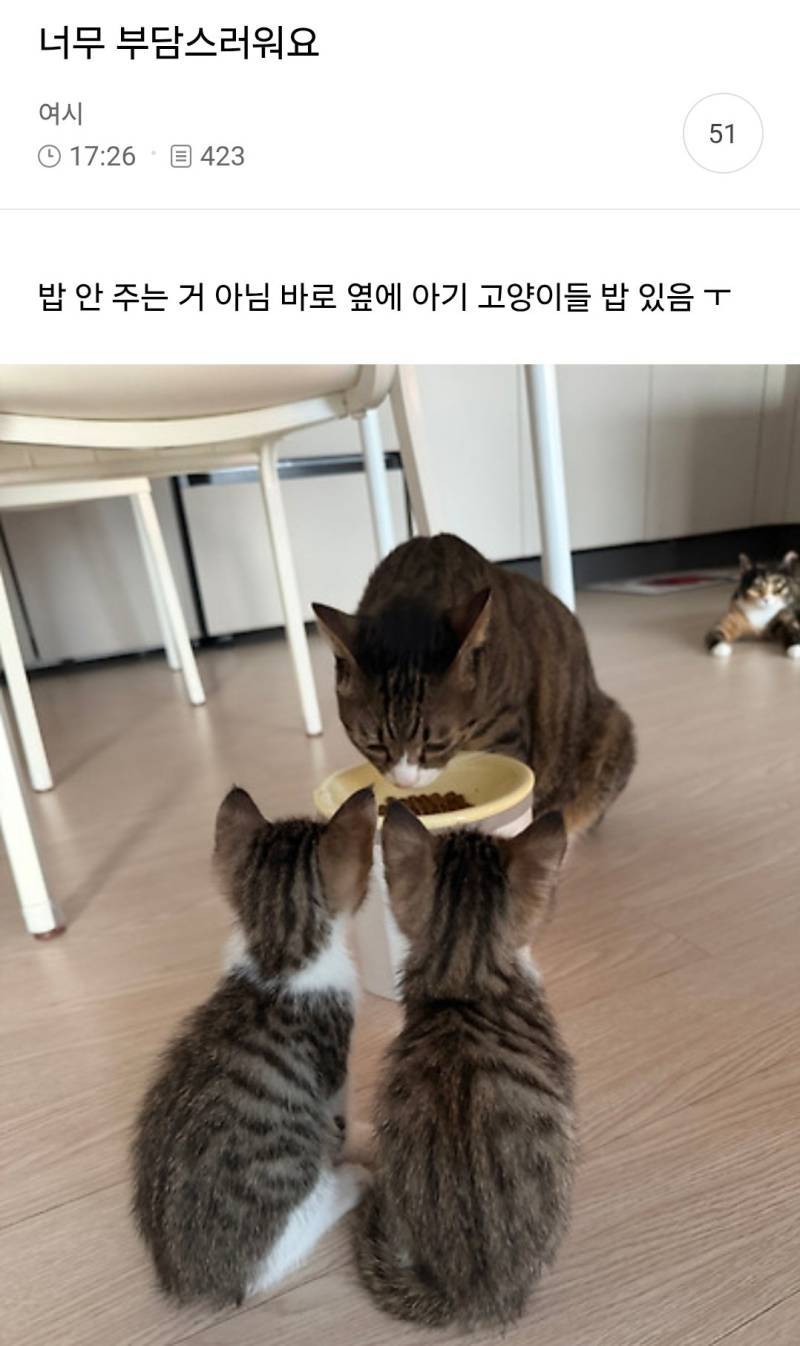 너무 부담스러워요의 내용을 보여주는 이미지