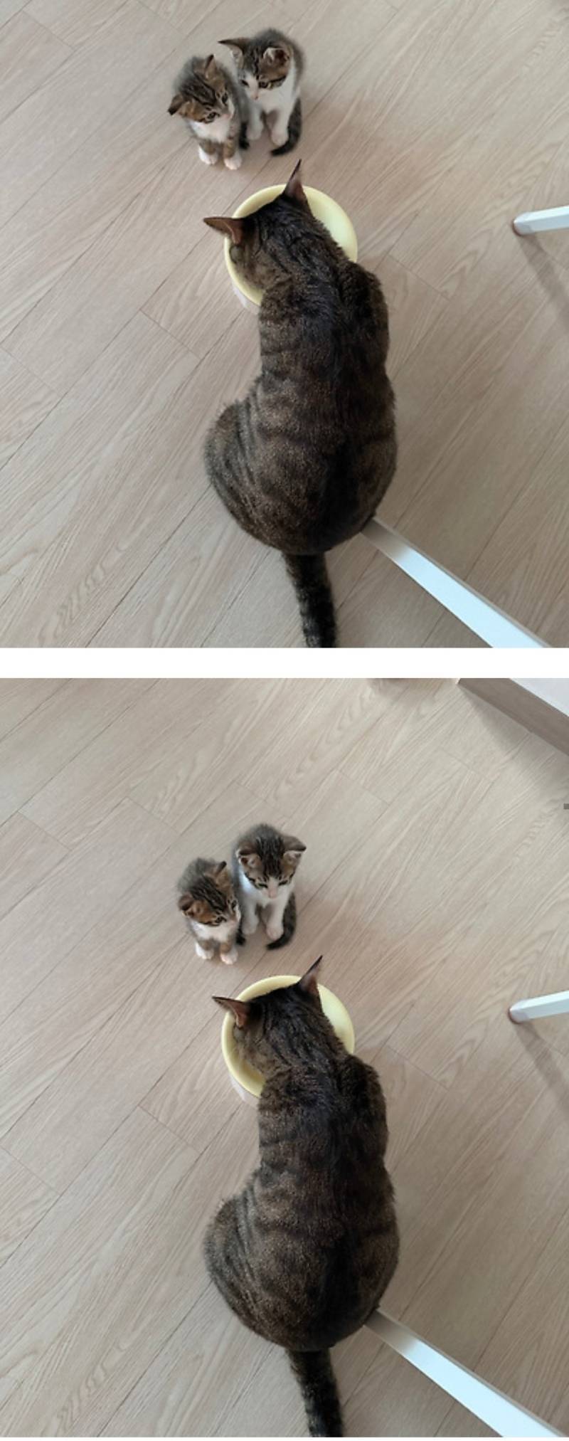 너무 부담스러워요의 내용을 보여주는 이미지 관련 이미지 2