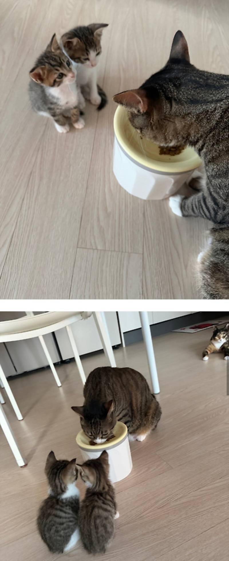 너무 부담스러워요의 내용을 보여주는 이미지 관련 이미지 3