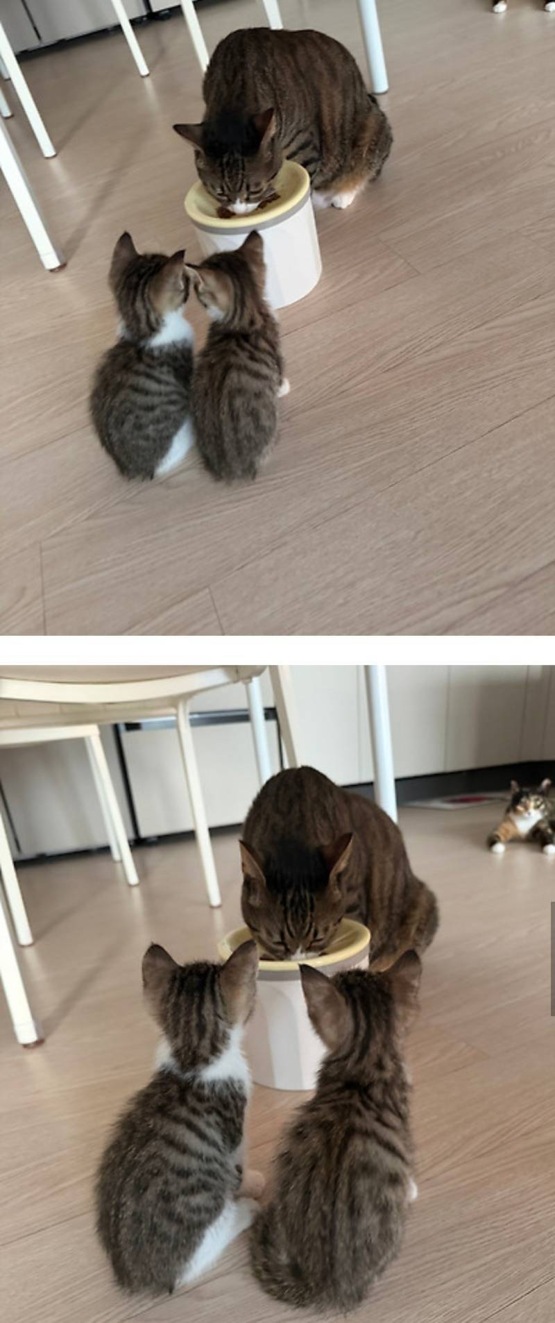 너무 부담스러워요의 내용을 보여주는 이미지 관련 이미지 4