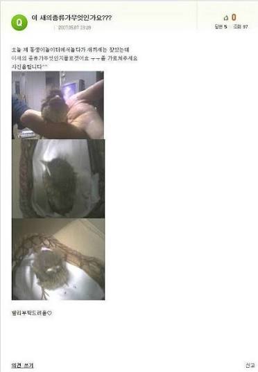 전설의 화질구지 사건의 내용을 보여주는 이미지