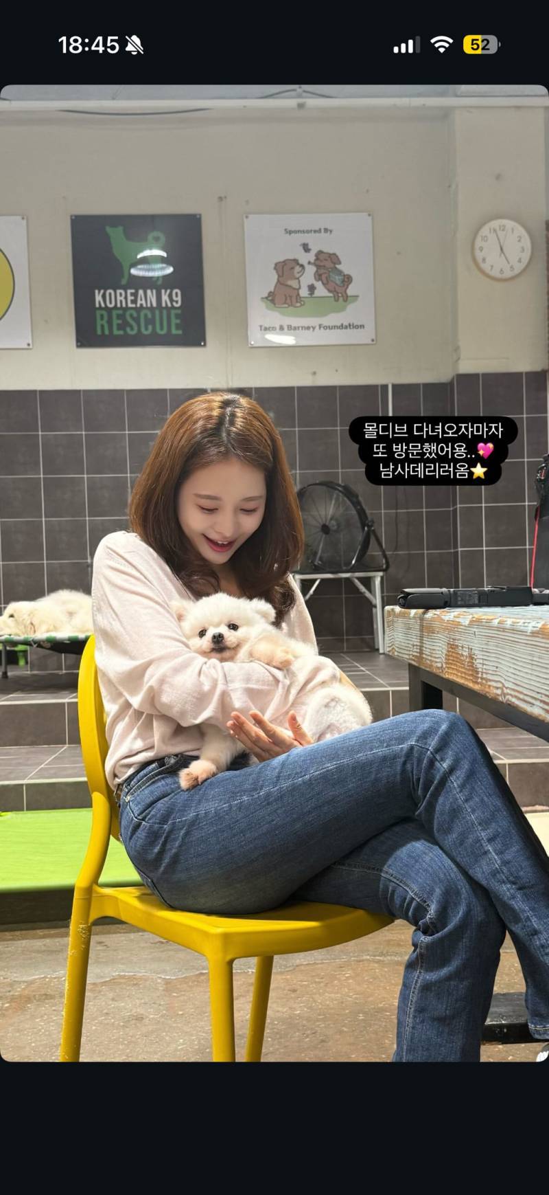 강아지공장에서 50마리 출산한 번식견 입양한 아옳이의 내용을 보여주는 이미지