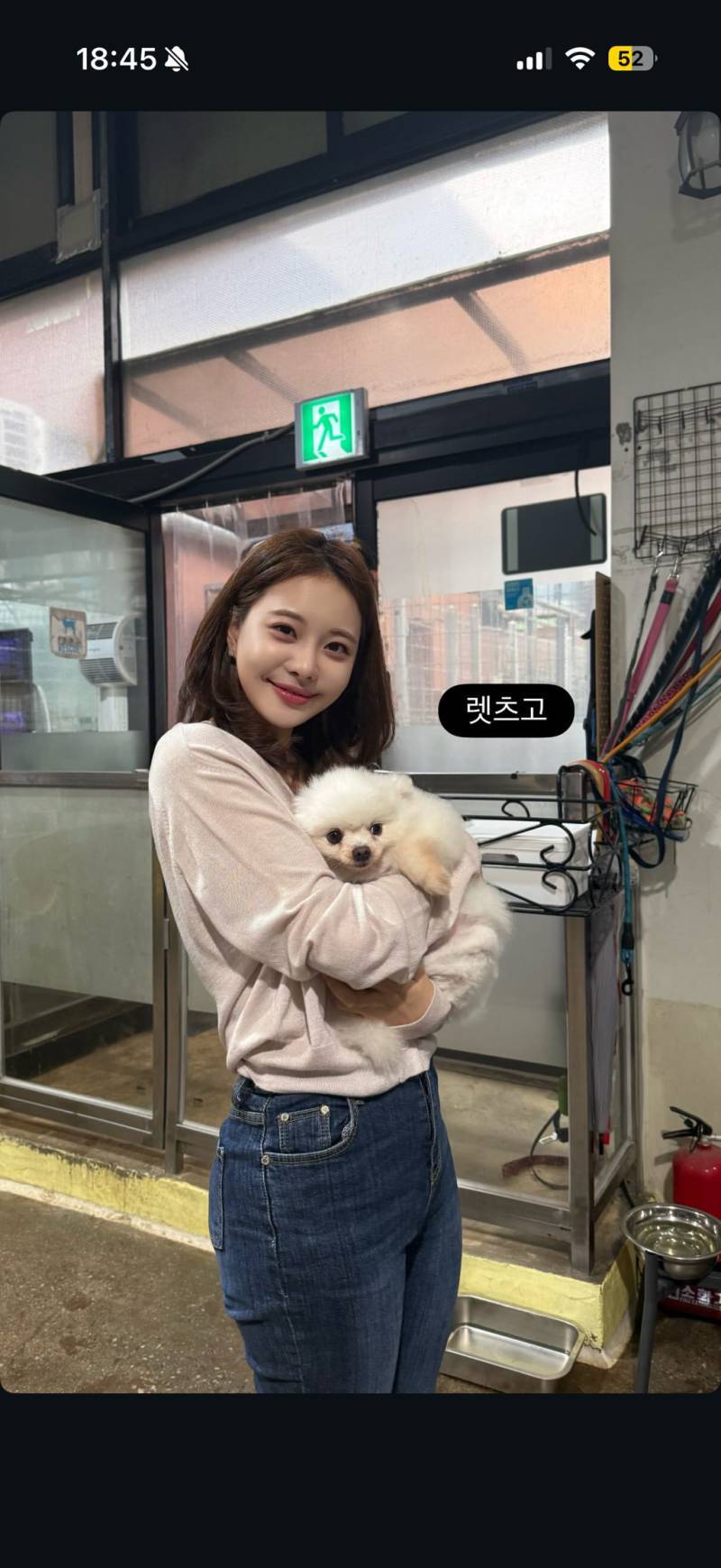 강아지공장에서 50마리 출산한 번식견 입양한 아옳이의 내용을 보여주는 이미지 관련 이미지 2