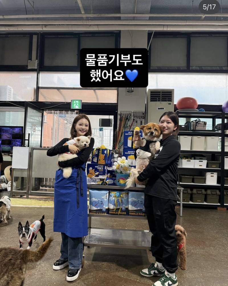 강아지공장에서 50마리 출산한 번식견 입양한 아옳이의 내용을 보여주는 이미지 관련 이미지 5