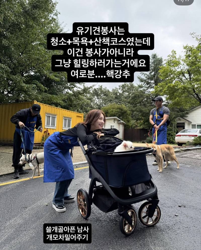강아지공장에서 50마리 출산한 번식견 입양한 아옳이의 내용을 보여주는 이미지 관련 이미지 6