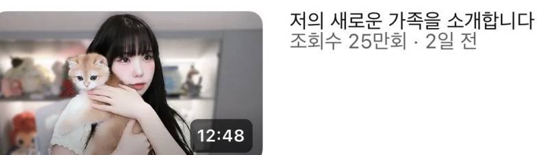 요즘 20대들이 펫샵가서 돈주고 생명 사오는 이유의 내용을 보여주는 이미지