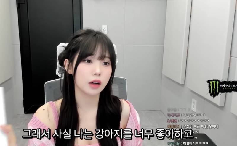 요즘 20대들이 펫샵가서 돈주고 생명 사오는 이유의 내용을 보여주는 이미지 관련 이미지 2