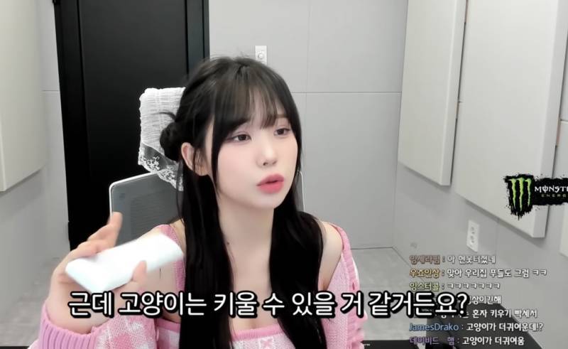 요즘 20대들이 펫샵가서 돈주고 생명 사오는 이유의 내용을 보여주는 이미지 관련 이미지 3