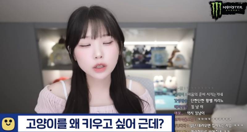 요즘 20대들이 펫샵가서 돈주고 생명 사오는 이유의 내용을 보여주는 이미지 관련 이미지 5