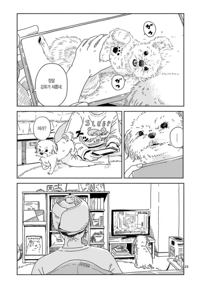 comic_new6-20260810-193922-021-resize.png