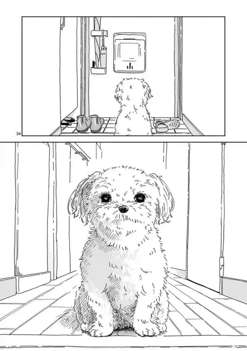 comic_new6-20260810-193922-032-resize.png