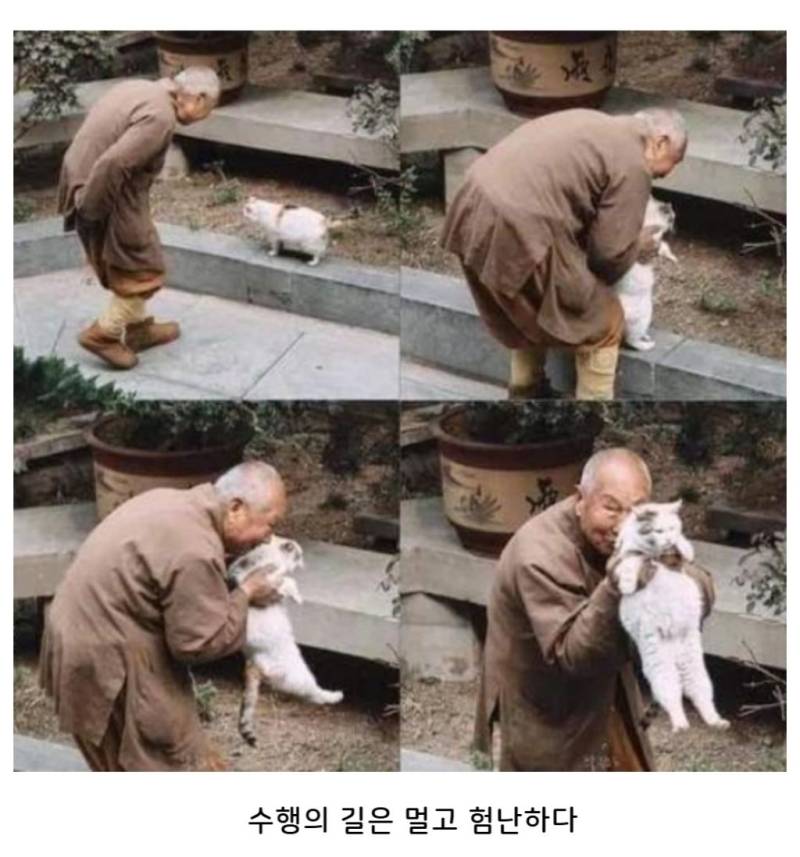 모든 욕망을 다 끊어낸 스님도 못참음의 내용을 보여주는 이미지 관련 이미지 2