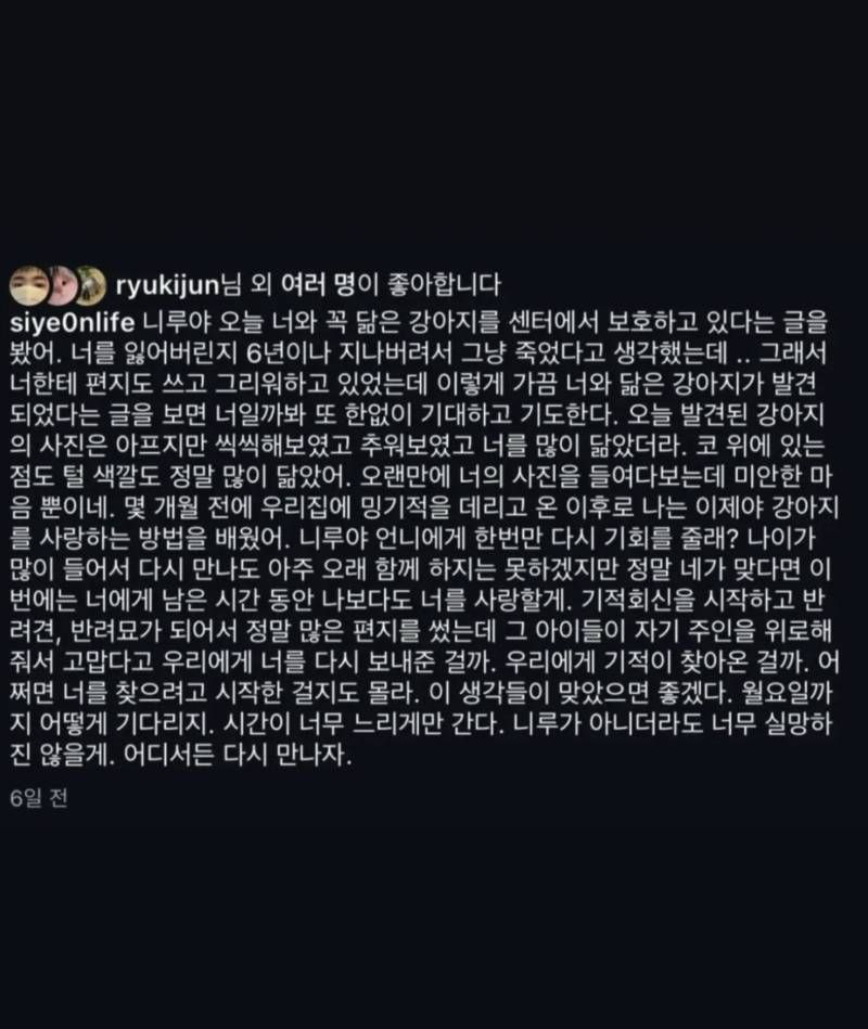 6년간 죽었다고 생각했던 강아지를 찾은 가족ㅜㅜ의 내용을 보여주는 이미지