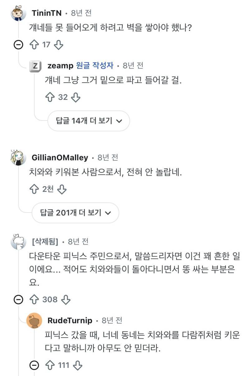 치와와들은 집단을 만드는 습성이 있다의 내용을 보여주는 이미지 관련 이미지 3