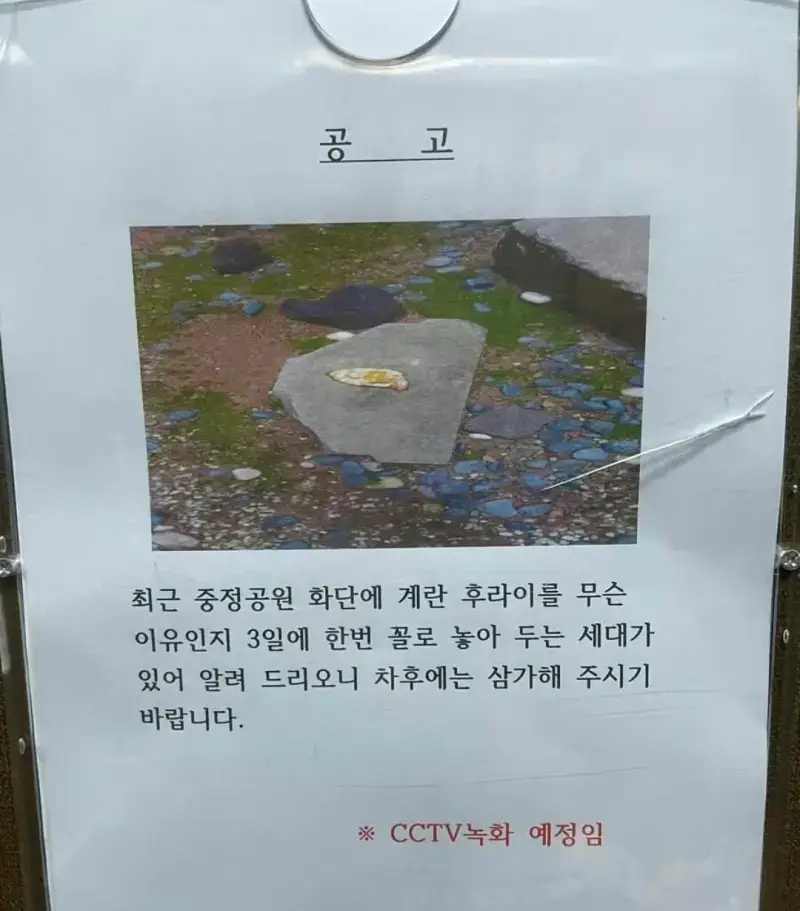무슨 이유인지 계란후라이를 부치는 사람이 있습니다의 내용을 보여주는 이미지