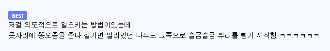 매국노는 명당도 악지 중 악지로 만든다.의 내용을 보여주는 이미지 관련 이미지 2
