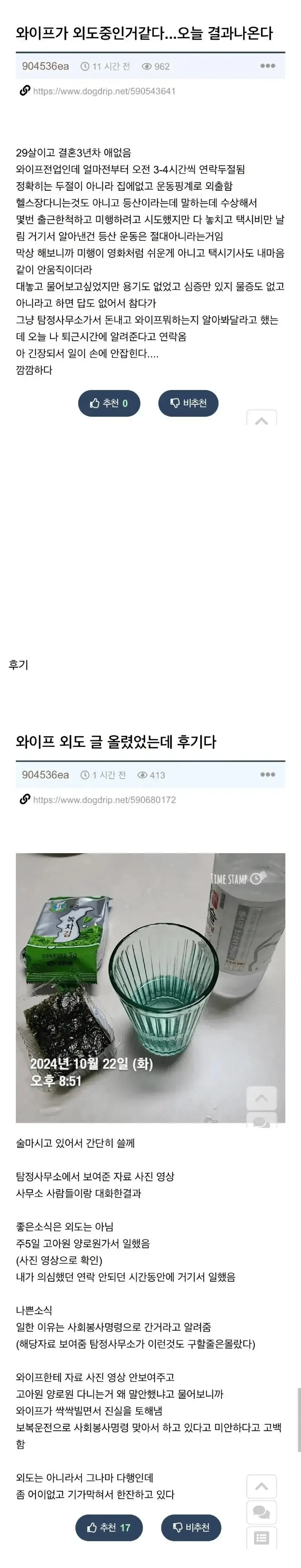 image.png 와이프가 외도 중인거 같아서 탐정에게 맡겼더니 나온 결과