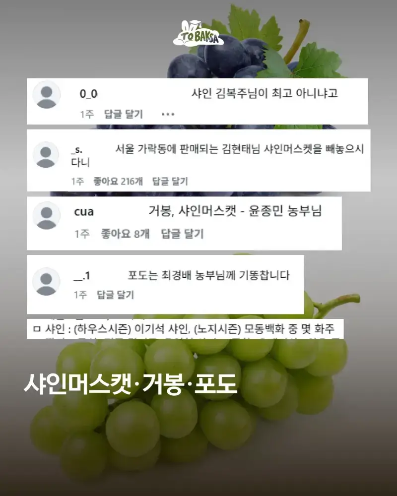 맛있는 과일 보증하는 농부님들 이름 리스트의 내용을 보여주는 이미지 관련 이미지 4