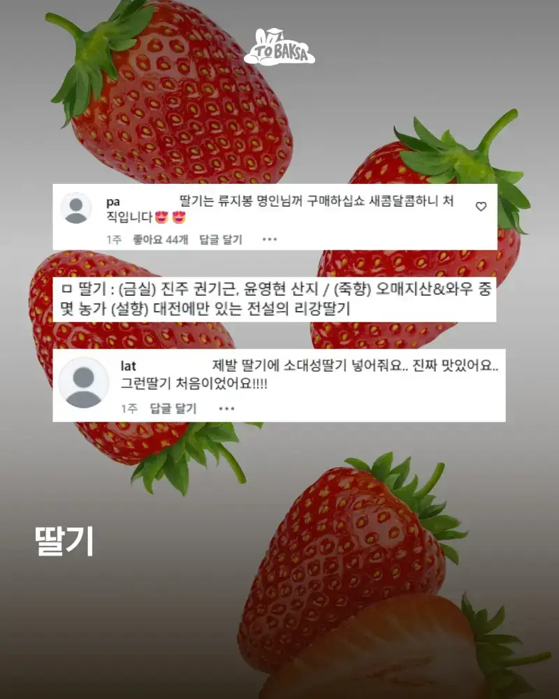 맛있는 과일 보증하는 농부님들 이름 리스트의 내용을 보여주는 이미지 관련 이미지 6