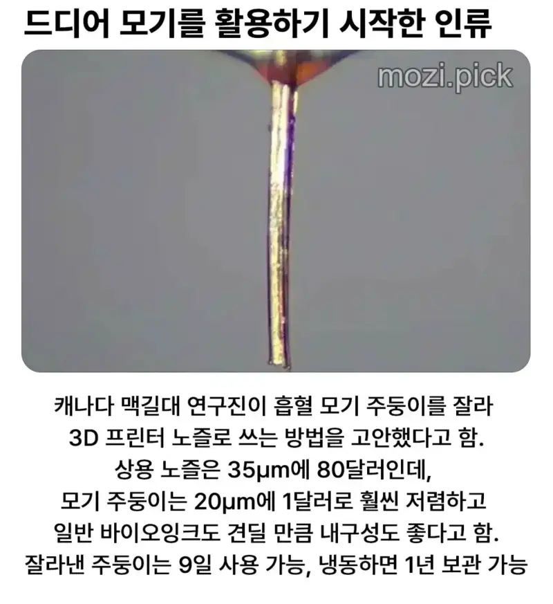 모기를 활용하기 시작한 인류의 과학의 내용을 보여주는 이미지