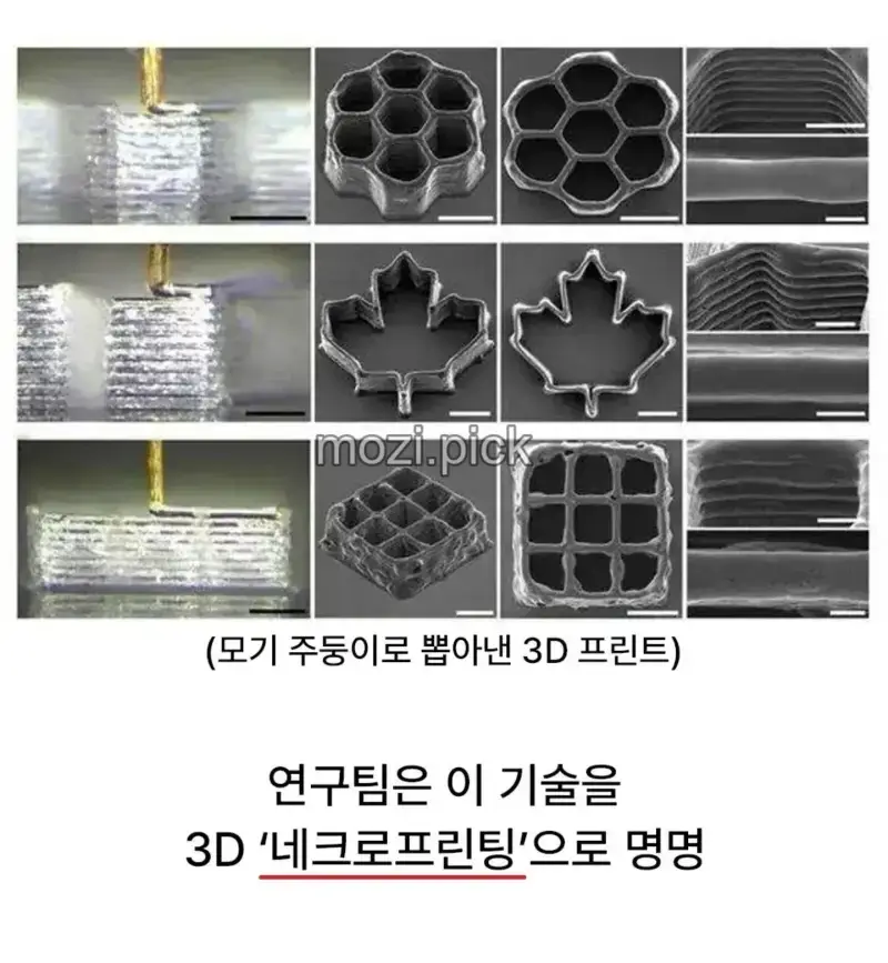 모기를 활용하기 시작한 인류의 과학의 내용을 보여주는 이미지 관련 이미지 2